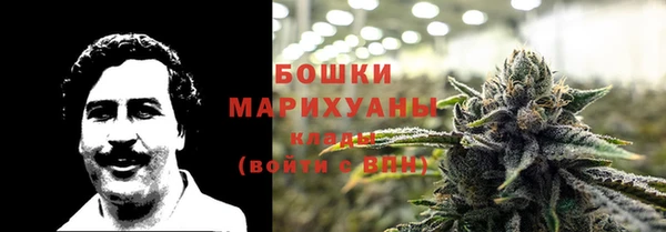 ECSTASY Медногорск